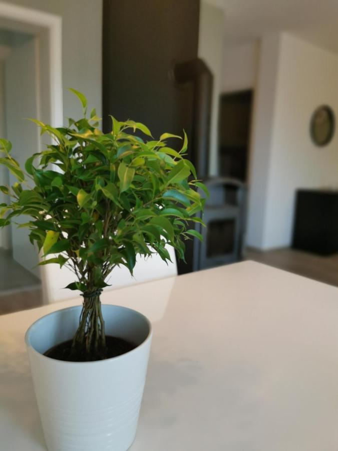 Ferienwohnung Auf Villa Hendschhof Sankt Wendel Kültér fotó